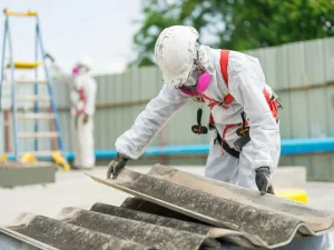 Best Practices for Compliance and Safety in Asbestos Management